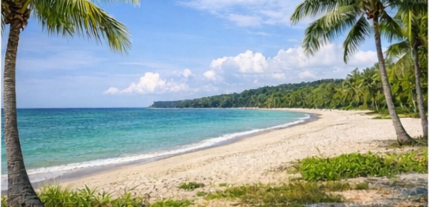 Beachfront Commercial Lot, Bangui Bay