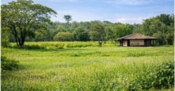 Former School Site, Institutional Lot