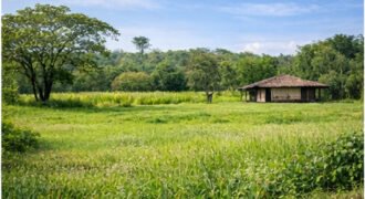 Former School Site, Institutional Lot