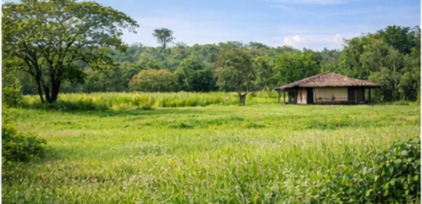 Former School Site, Institutional Lot